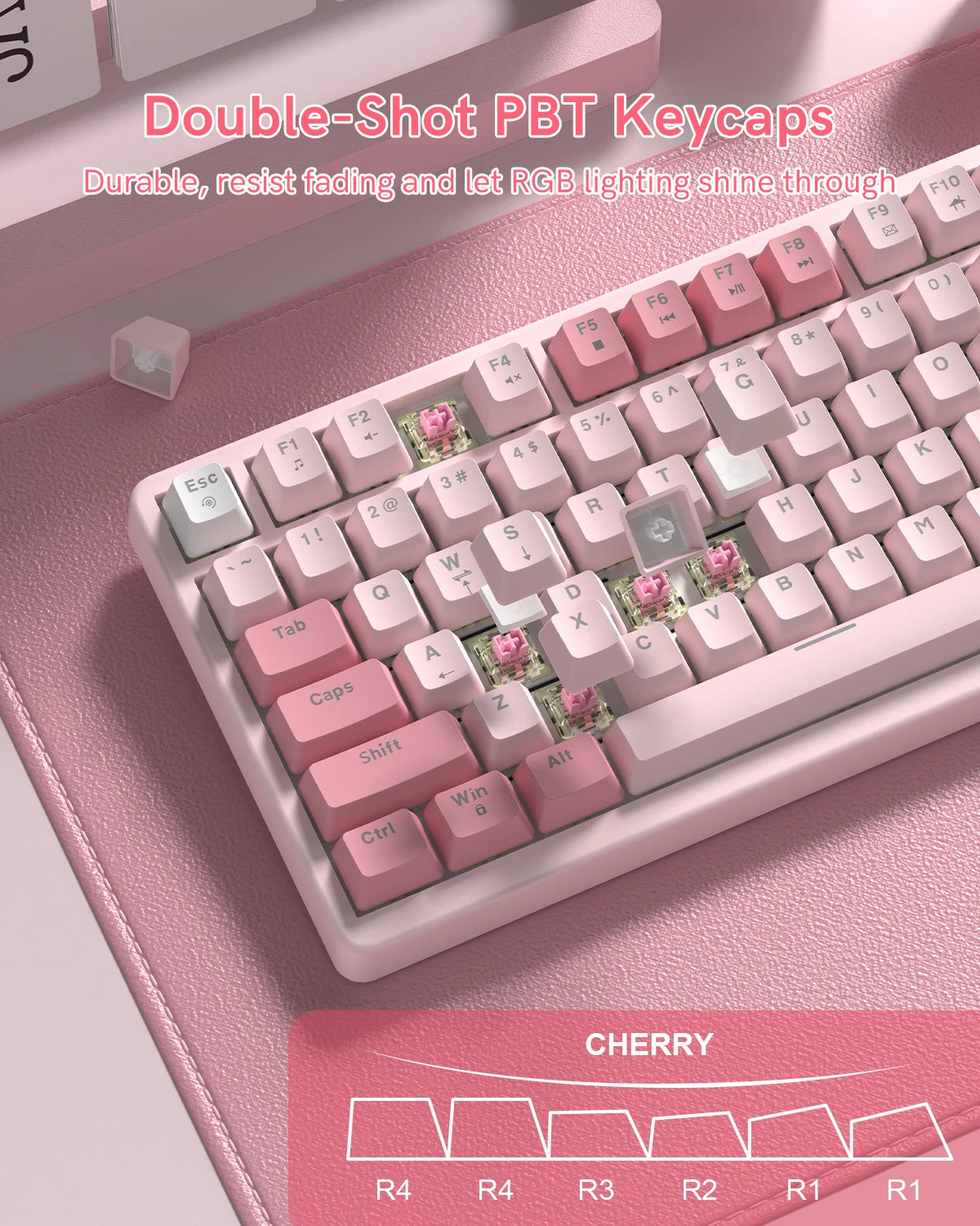 Womier VK75 Wired Mechanical Keyboard 75% Custom Hotswap with Knob RGB Backlit Gasket Mount Gaming Keyboard Double Linear Switch
